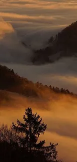 Scenic sunset view over misty mountains with golden sunlight.