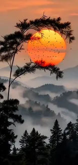Sunset view over misty mountains with silhouetted trees and vibrant sun.