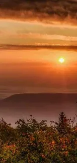 Orange sunset over mountains with misty valley and lush foreground.