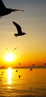 Sunset over ocean with flying birds and orange sky.