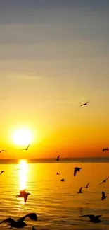 Beautiful sunset over ocean with birds flying.