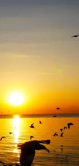 Golden sunset over ocean with silhouetted birds in flight.