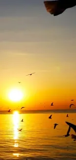 Birds flying over ocean at sunset, reflecting glowing orange hues.