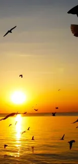 Vibrant sunset over an ocean with birds flying, casting silhouettes.