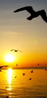 Seagulls soar over an ocean sunset with a vibrant orange sky.