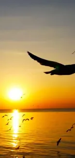 Birds soar above the ocean at sunset.