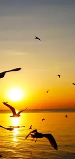 Birds flying over ocean at sunset.