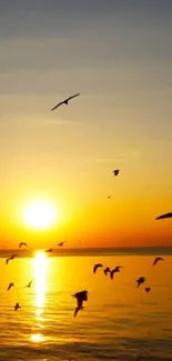 Serene sunset over ocean with seagulls flying in the sky.