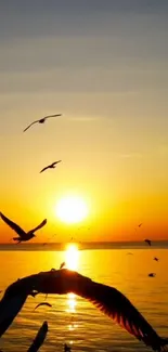 Sunset over ocean with birds flying in silhouette.