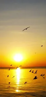 Serene sunset over ocean with birds in flight, showcasing a golden orange glow.