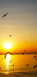 Vibrant sunset with birds over the ocean.