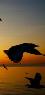 Mobile wallpaper of birds flying across a sunset ocean silhouette.