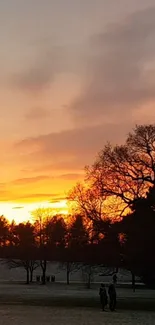 Beautiful sunset over a tranquil park landscape with silhouetted trees.