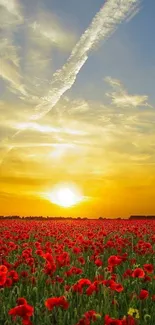 Sunset over a vibrant poppy field with a golden sky.