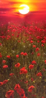 Vibrant sunset over a field of red flowers, creating a stunning natural scene.