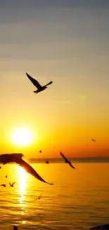 A vibrant sunset over the ocean with silhouetted birds in the sky.