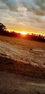 Sunset over a tranquil field, with vibrant orange skies.