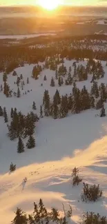 Golden sunset over a snowy forested landscape with rolling hills.