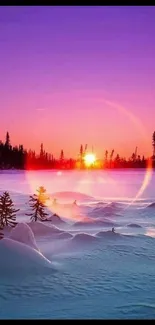 Winter sunset over snowy terrain with vibrant purple sky.