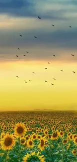 Golden sunset over a vibrant sunflower field with birds in the sky.