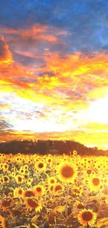 Sunset over a vibrant sunflower field with dramatic sky colors.