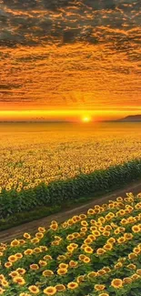 A stunning sunset over a vast sunflower field creating a warm, vibrant scenery.