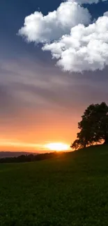 Sunset over a field with tree silhouette and clouds.