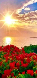 Serene sunset over red flowers by the ocean with vibrant colors.