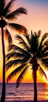 Tropical sunset with silhouetted palms on a serene beach.