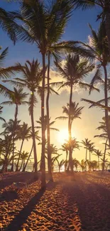 Sunset with palm trees silhouetted against a golden sky on a tropical beach.