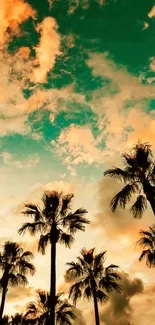 Silhouetted palm trees at sunset with colorful sky.