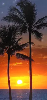 Tropical sunset with palm trees silhouetted against an orange sky.