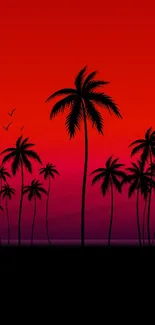 Silhouetted palm trees against a vibrant red sunset sky.