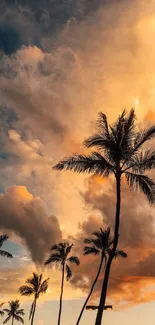 Silhouetted palm trees under a vibrant sunset sky, exuding tropical serenity.