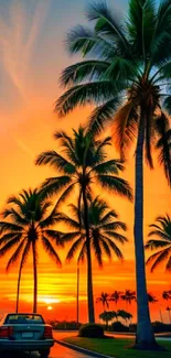 Vibrant sunset with palm trees and cars on a scenic road.