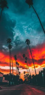 Vibrant sunset with palm trees silhouetted against a colorful sky.