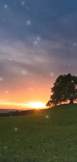 Serene landscape with sunset and lone tree under starry sky.