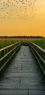 Boardwalk at sunset with birds flying.