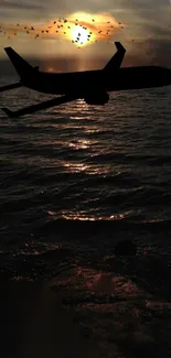 Silhouette of a plane over ocean at sunset, birds flying in sky.