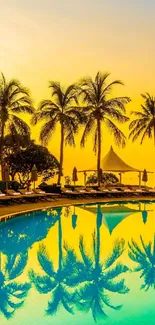 Tropical sunset with palm trees reflected in a swimming pool.