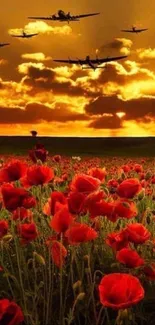 Red poppy field under sunset with planes overhead.