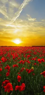 A stunning sunset over a poppy field, with vivid red flowers and a golden sky.