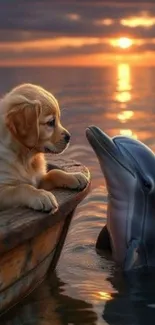 Puppy and dolphin at sunset on the sea.