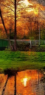 Breathtaking sunset reflecting on a peaceful pond with surrounding trees.