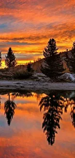 Breathtaking sunset over a lake with pine trees reflecting on water.