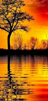 Stunning sunset with a tree silhouette reflecting on tranquil water.