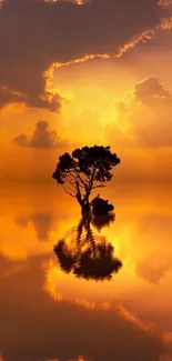 Tree silhouette against vibrant orange sunset with water reflection.