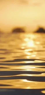 Golden sunset reflecting over calm ocean waves.