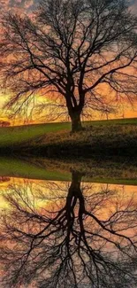 Silhouetted tree mirrored in a sunset lake scene.