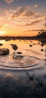 Tranquil sunset reflections on calm water with vibrant sky.